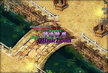 ��������α��