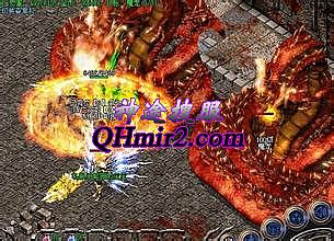 �����̬�ֻ���