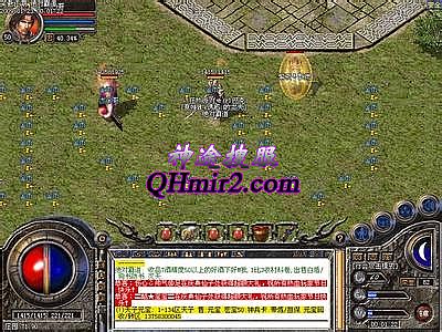 �¿���̬������վ