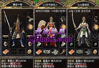 ��Ѫ���泬��̬˽��