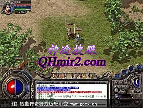 新开传奇小极品